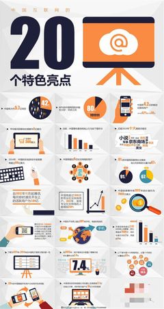 中國互聯(lián)網(wǎng)的20個(gè)特色亮點(diǎn)
